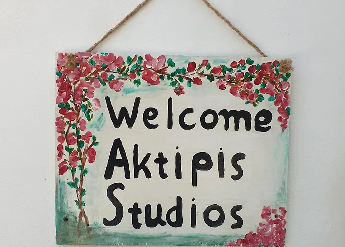 Aktipis Studios 1